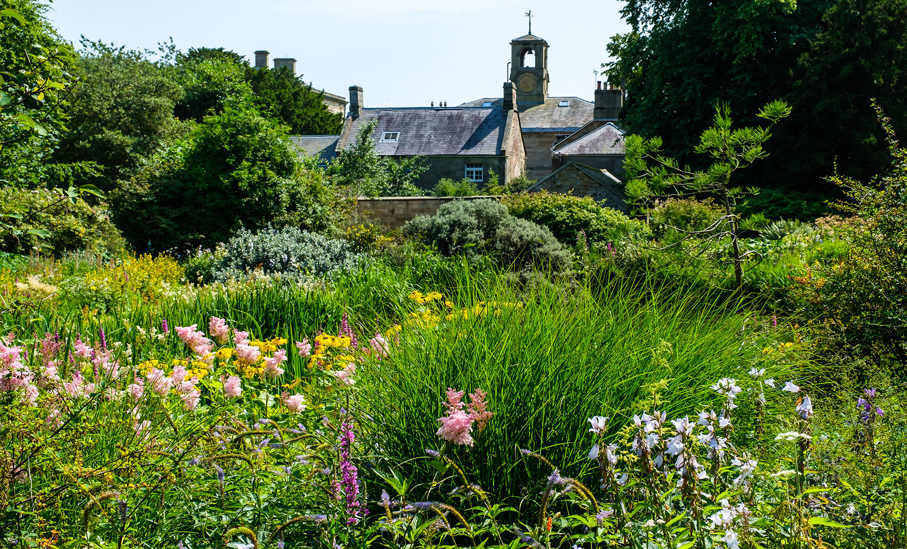 Howick Hall Gardens & Arboretum